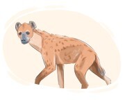 hyena