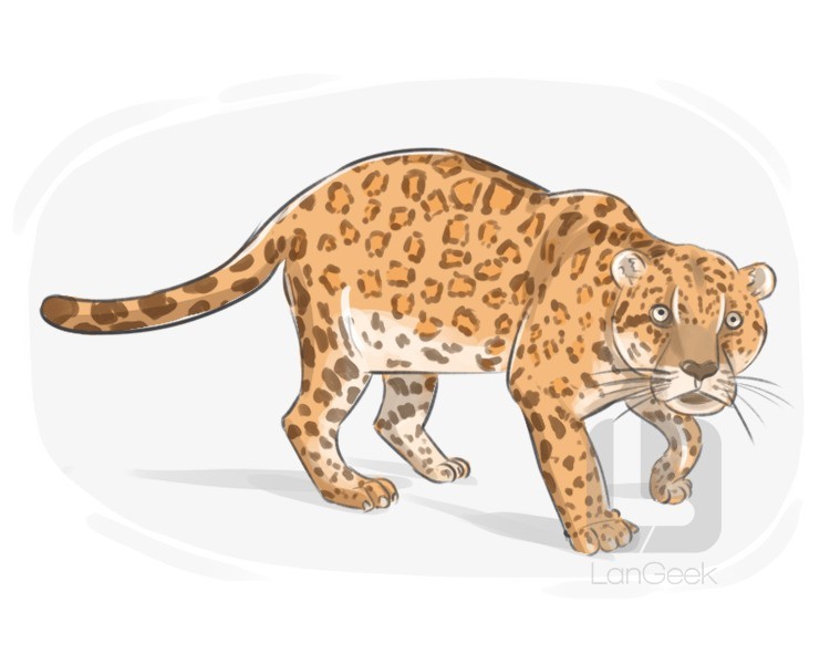 jaguar definition and meaning