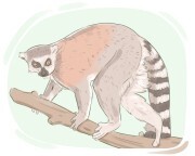 lemur
