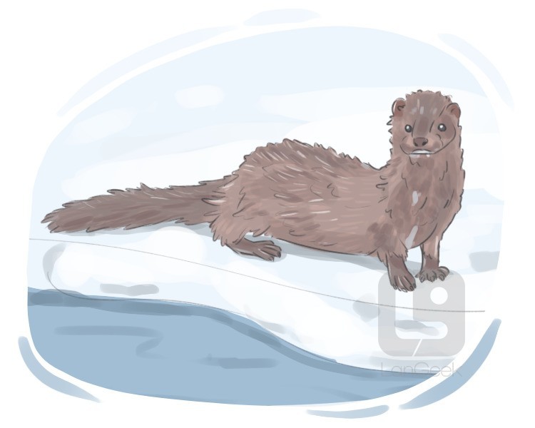 mink definition and meaning