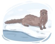 mink