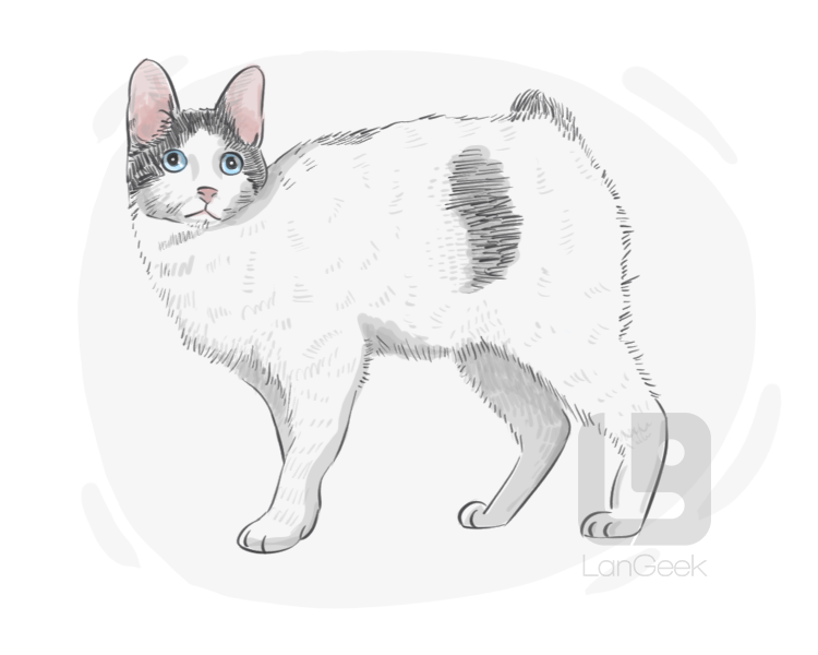 Japanese Bobtail definition and meaning