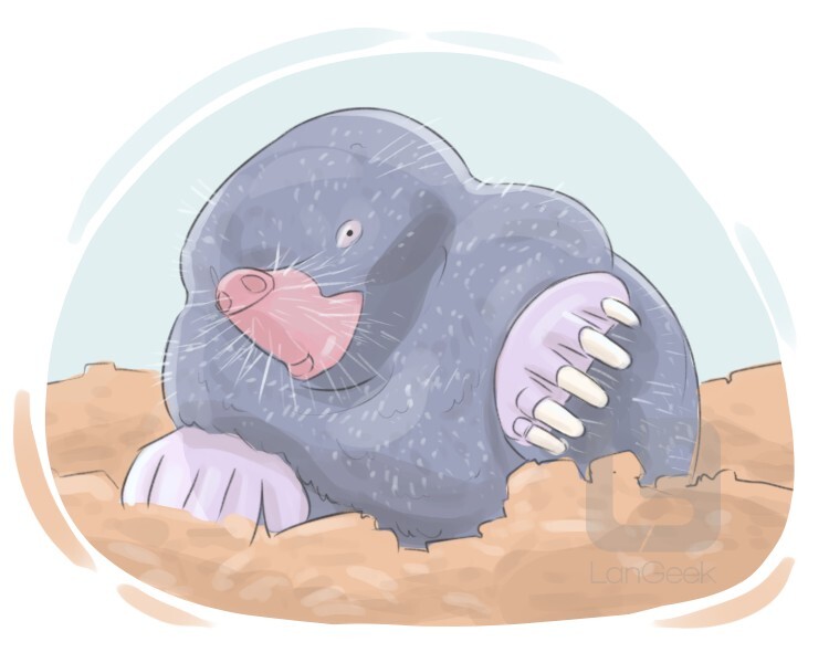 Definition & Meaning of "Mole" LanGeek