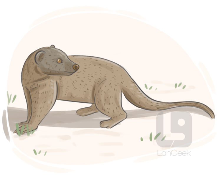 mongoose definition and meaning