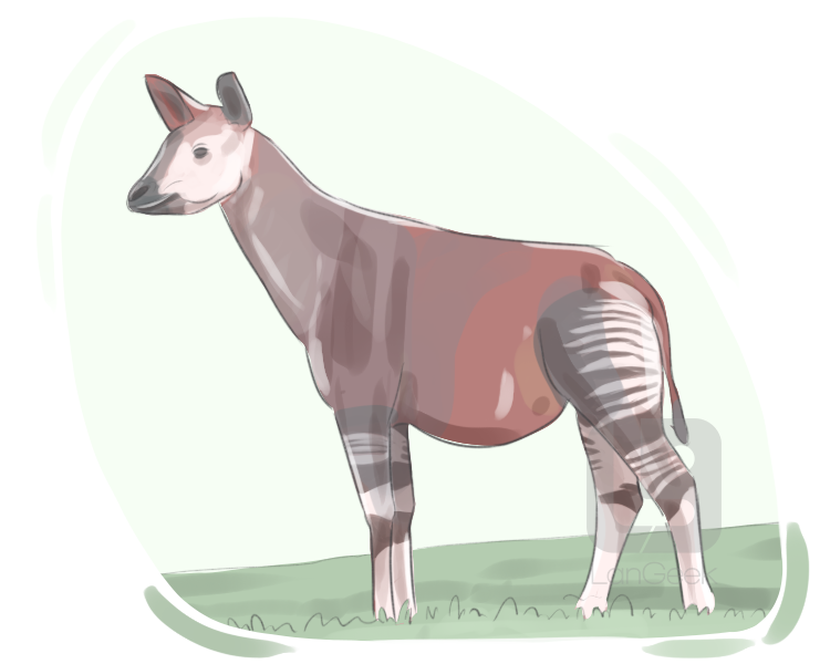 okapi definition and meaning