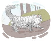 Norwegian Forest cat