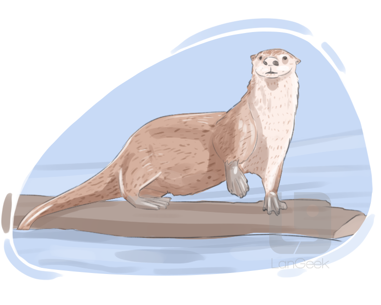 otter definition and meaning
