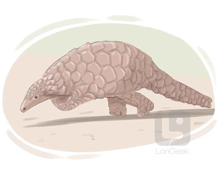 pangolin definition and meaning