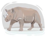 rhinoceros
