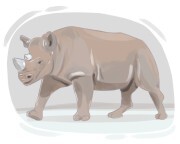 rhinoceros