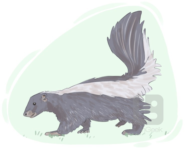 polecat definition and meaning