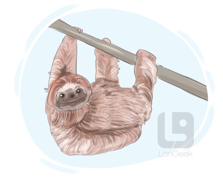 Definition & Meaning of "Sloth" LanGeek