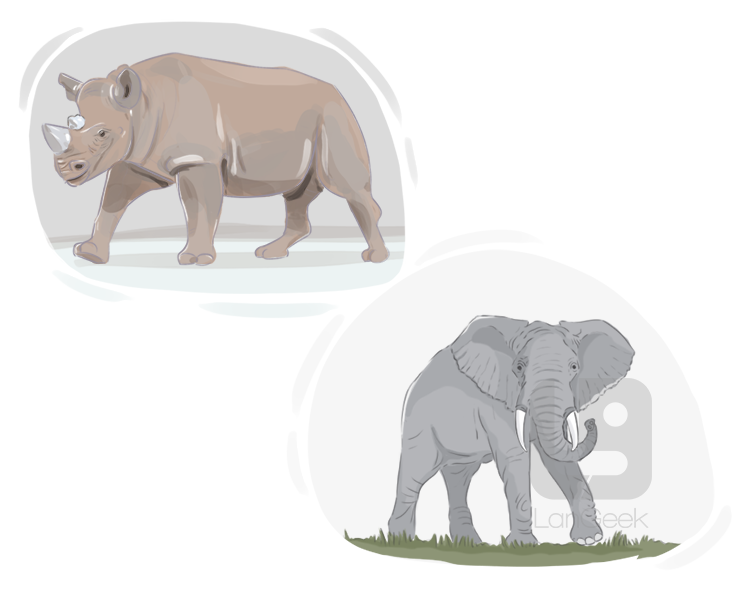 pachyderm definition and meaning