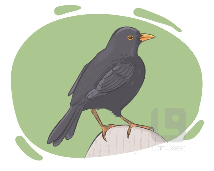 blackbird definition and meaning