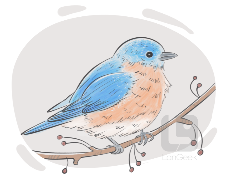 bluebird definition and meaning