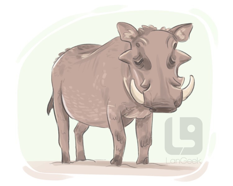 Definition & Meaning of "Warthog" | LanGeek