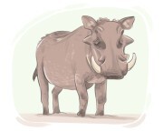 warthog