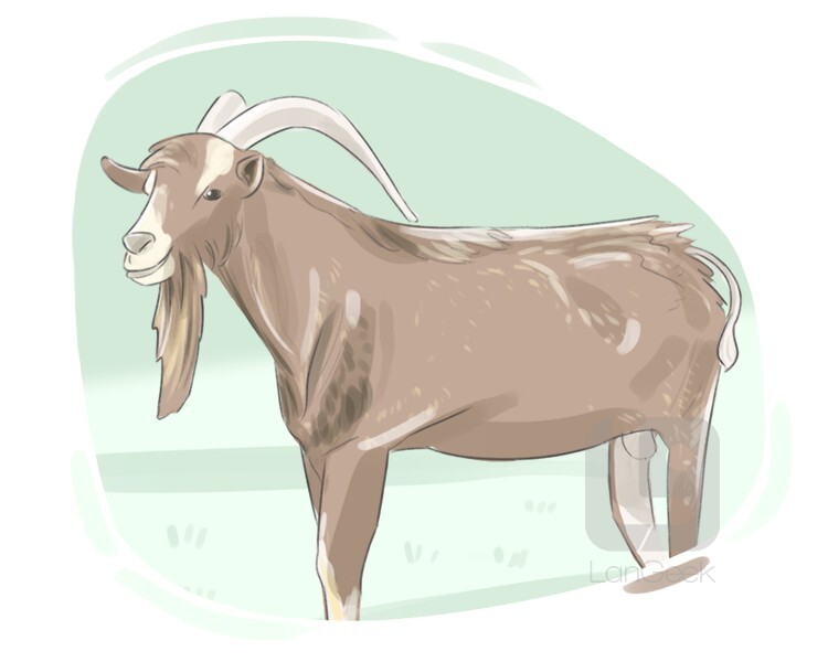 hindi-name-to-english-how-to