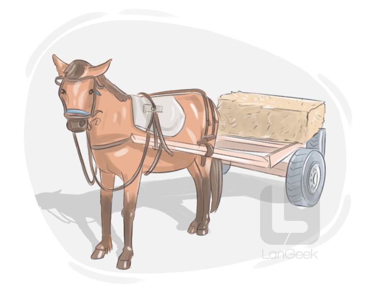 draft horse definition and meaning