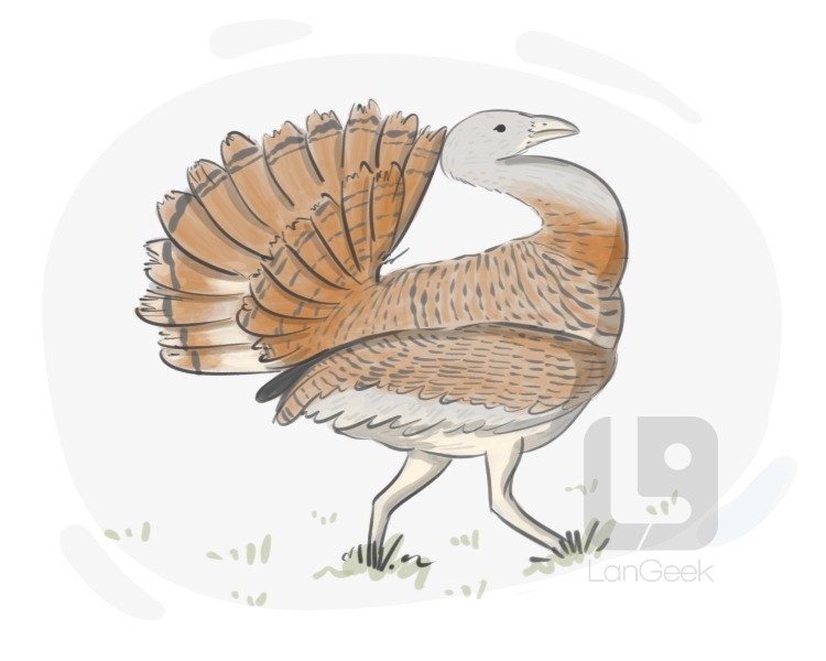 bustard definition and meaning