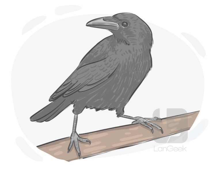 La traduction du mot carrion crow langeek