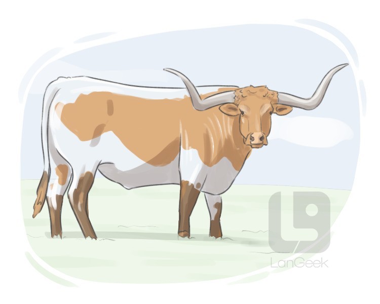 Texas Longhorn definition and meaning