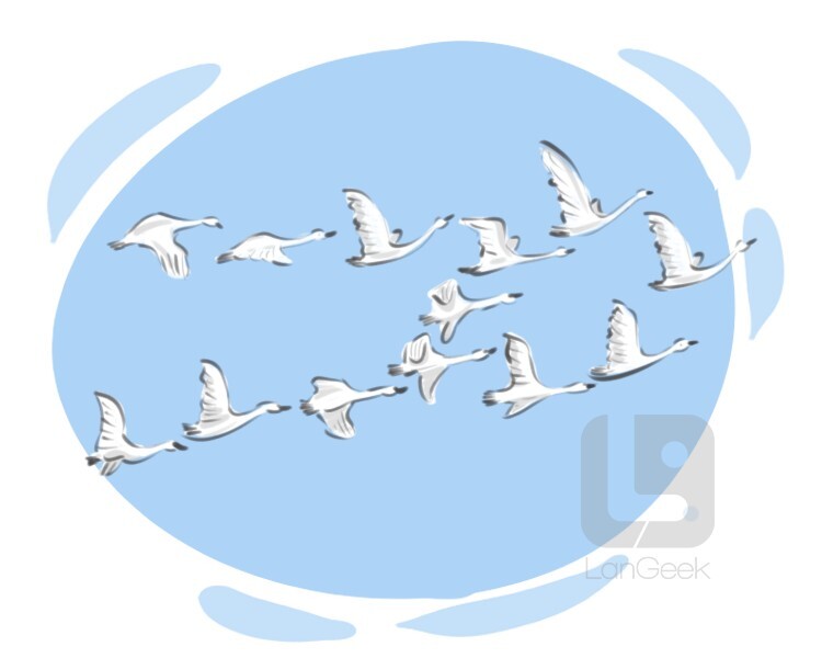 definition-meaning-of-flock-langeek