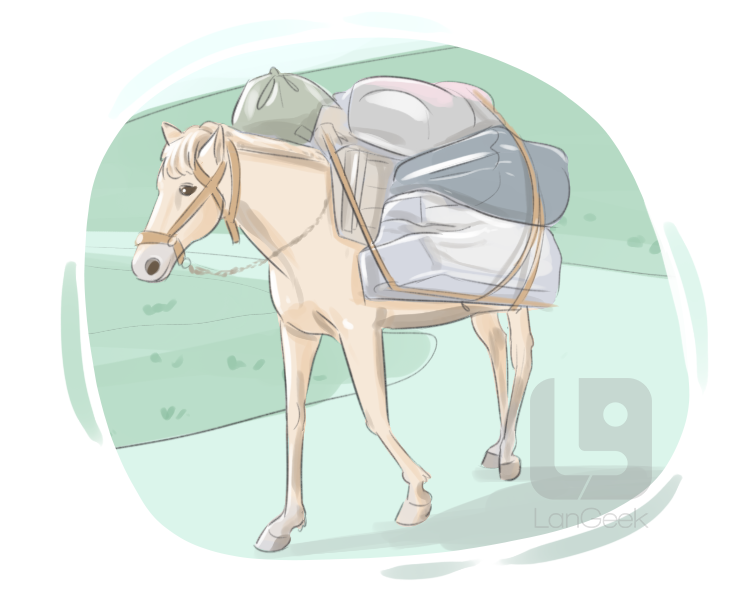 packhorse definition and meaning