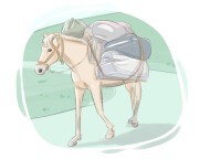 packhorse