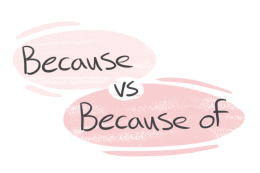 "Because" vs. "Because Of" in the English grammar