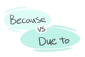 "Because" vs. "Due To" in the English grammar