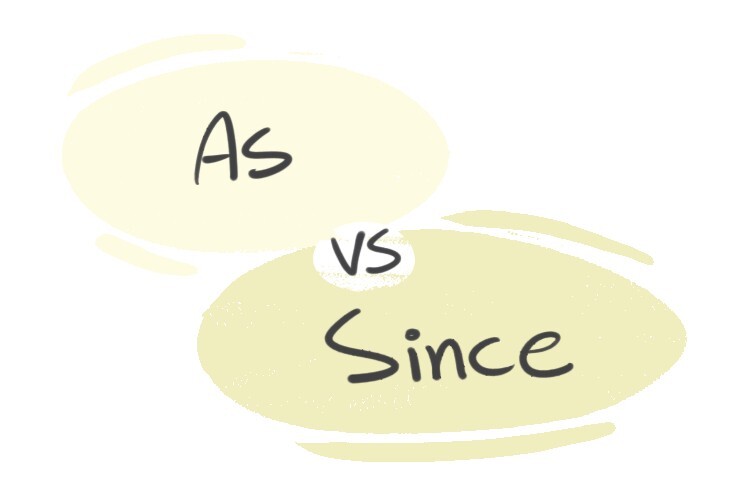  As Vs Since In The English Grammar LanGeek