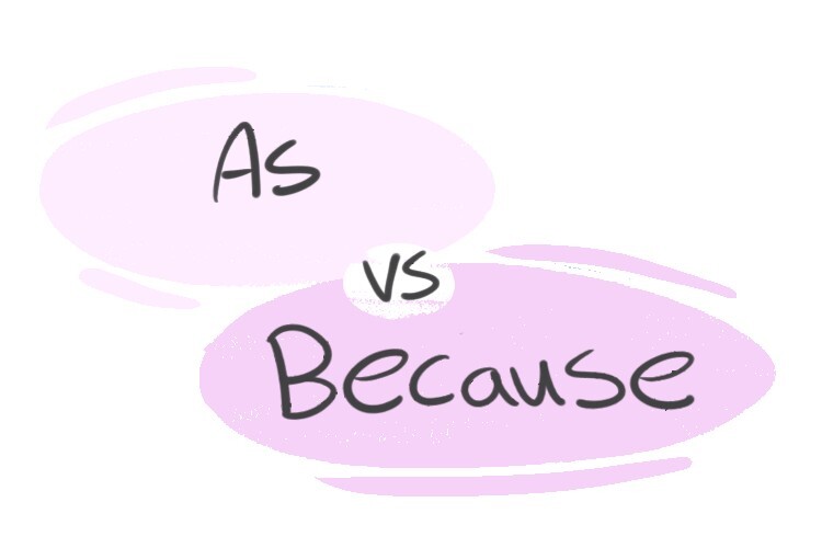 "As" vs. "Because" in the English grammar LanGeek