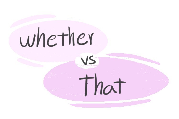  quot Whether quot vs quot That quot in the English grammar LanGeek