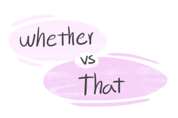 "Whether" vs. "That" in the English grammar