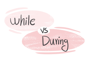 "While" vs. "During" in the English grammar