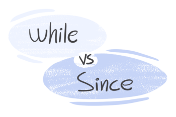 "While" vs. "Since" in the English grammar