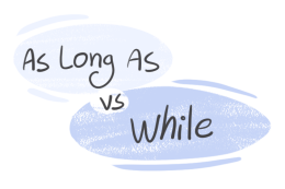 "As Long As" vs. "While" in the English grammar