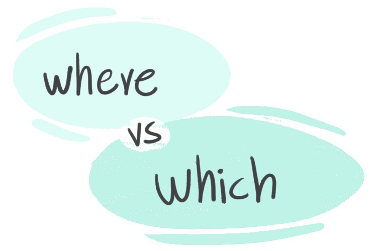 "Where" vs. "Which" in the English grammar LanGeek