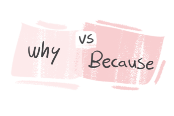 "Why" vs. "Because" in the English grammar