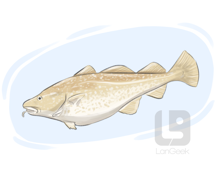atlantic cod definition and meaning