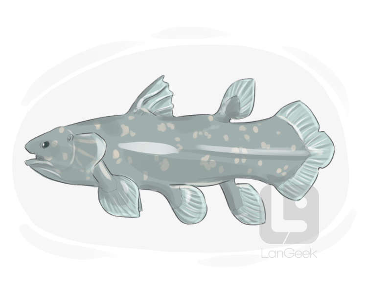 coelacanth definition and meaning
