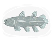 coelacanth
