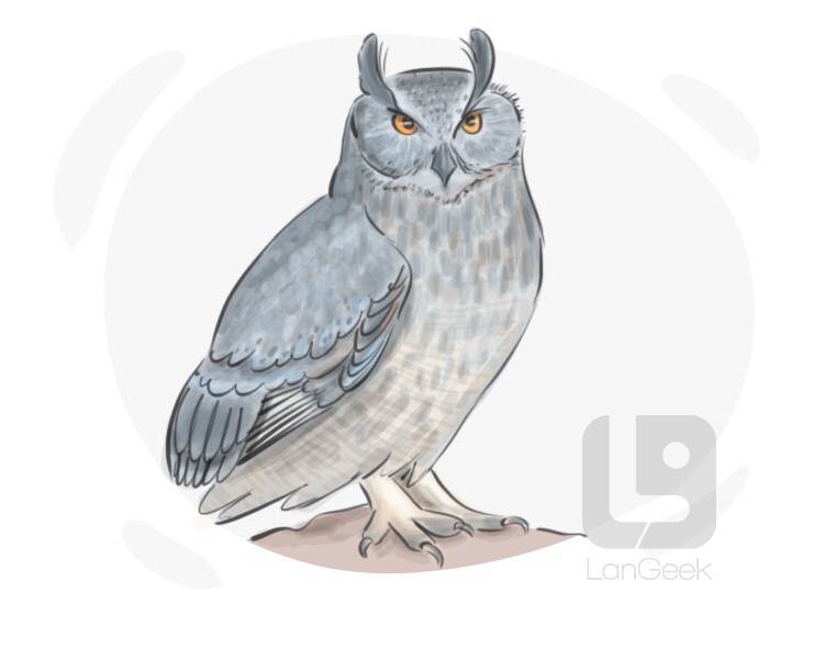 Definition & Meaning of "Eagle owl" LanGeek