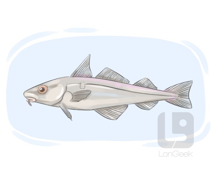 Definition & Meaning of "Haddock" LanGeek