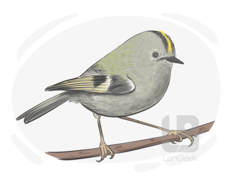 goldcrest definition and meaning