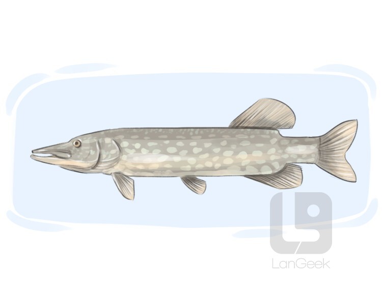 Definition & Meaning of "Pike" LanGeek