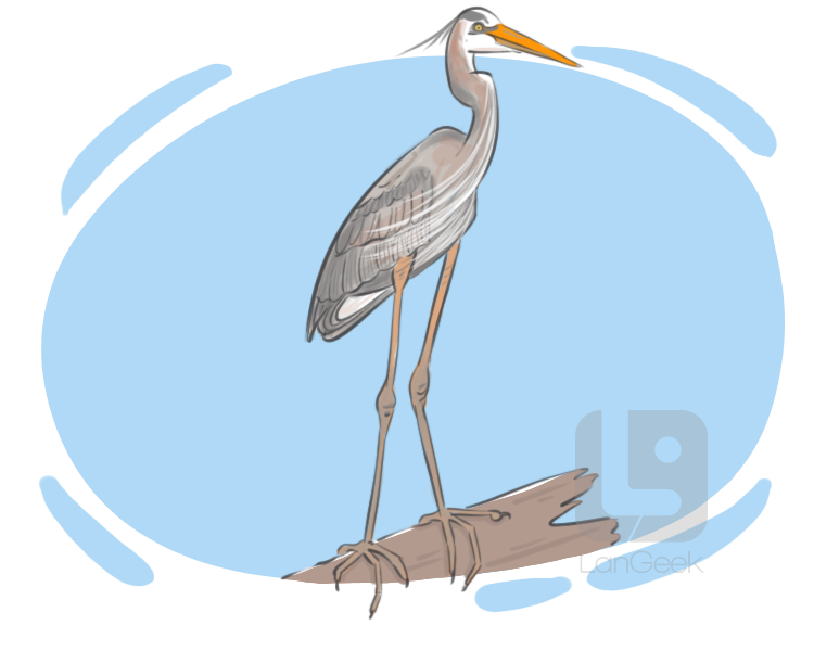 heron definition and meaning