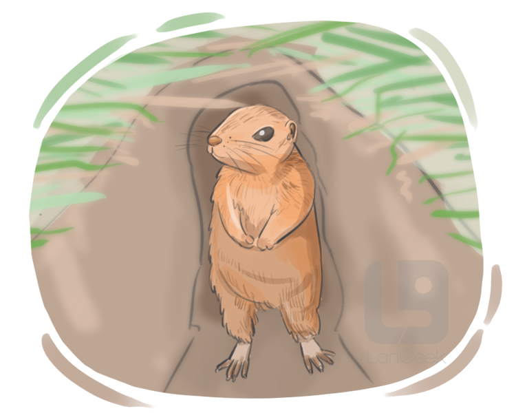 prairie dog definition and meaning