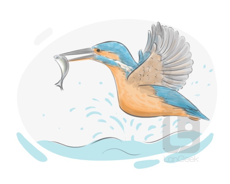 definition-meaning-of-kingfisher-langeek